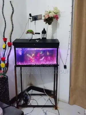 Fish Tank With Stand