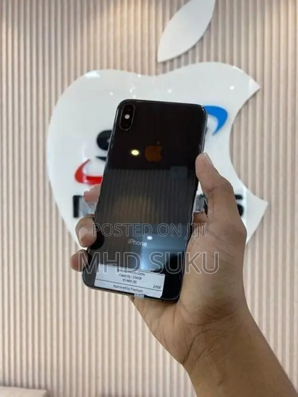 Apple iPhone XS Max 256GB (Used)