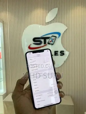 Apple iPhone XS Max 256GB (Used)