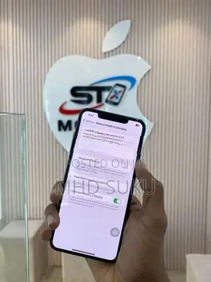 Apple iPhone XS Max 256GB (Used)