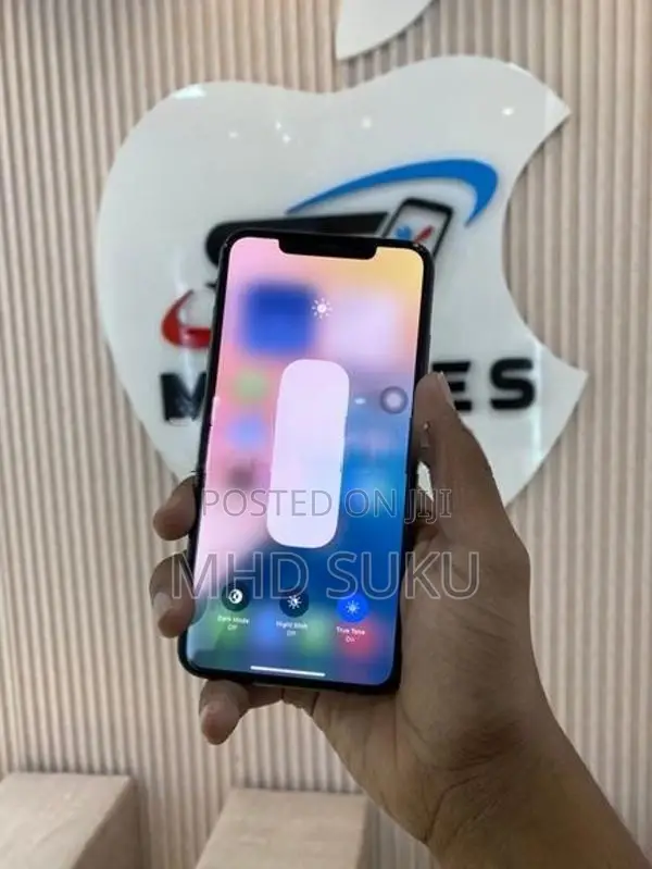 Apple iPhone XS Max 256GB (Used)