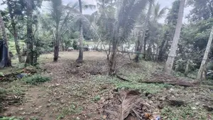 Land with House for Sale – Ja-Ela / Ganemulla