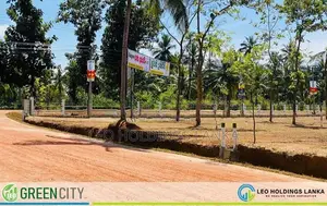 Land For Sale In Maspotha