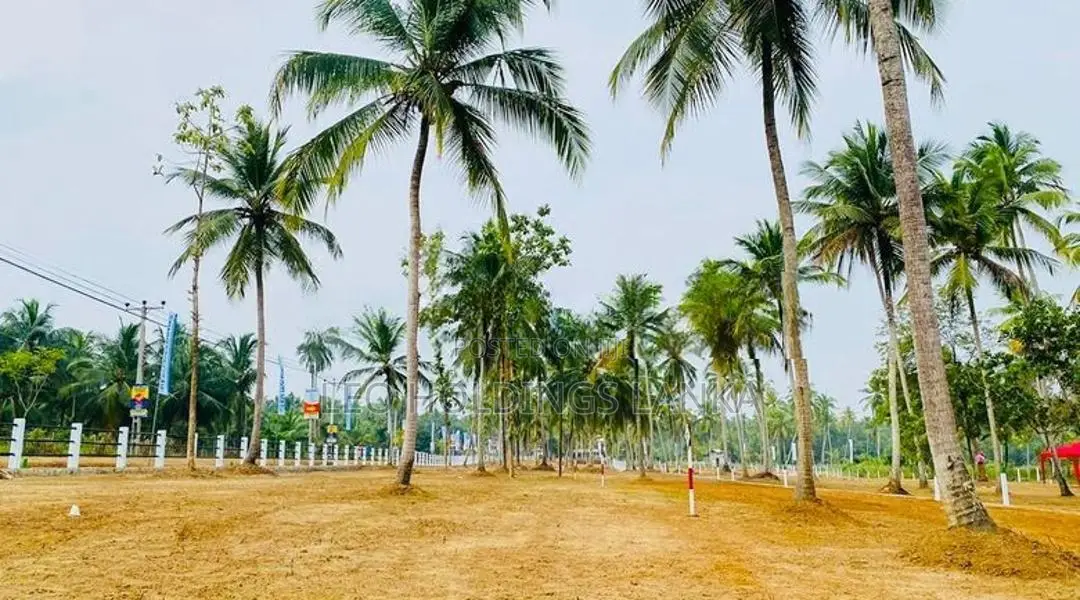 Land For Sale In Maspotha