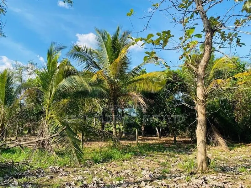Land For Sale In Anuradhapura Rd -Balalla