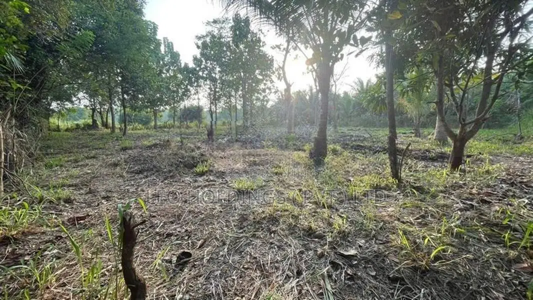 Land For Sale In Anuradhapura Rd -Balalla