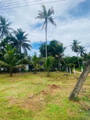 Land For Sale In Puttalam Road-Pellandeniya