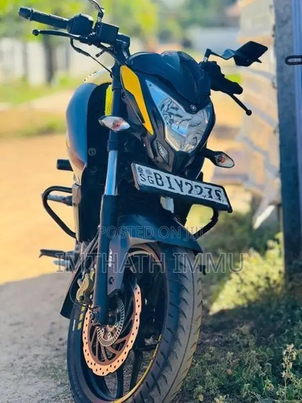 Bajaj Pulsar NS200 2019