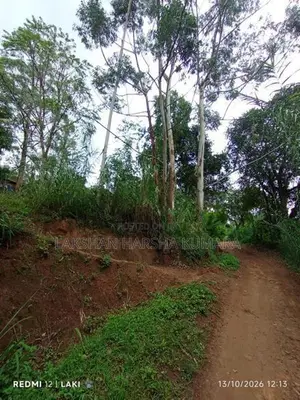 Land For Sale Nikawetawela In Welimada