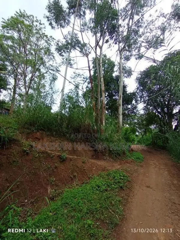 Land For Sale Nikawetawela In Welimada