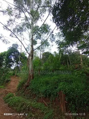 Land For Sale Nikawetawela In Welimada