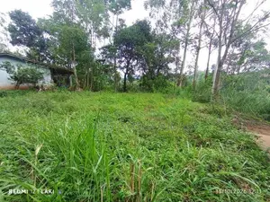 Land For Sale Nikawetawela In Welimada