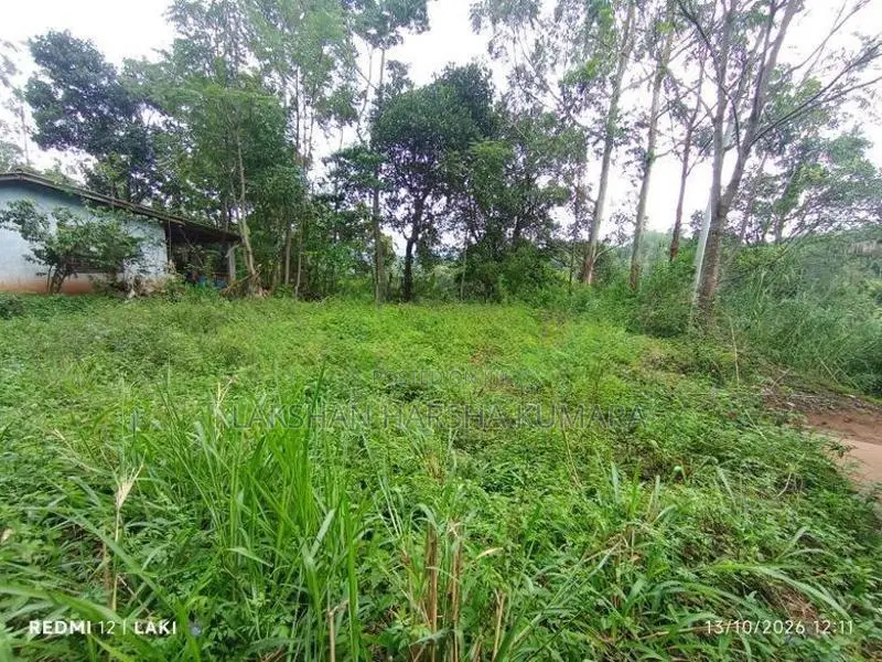 Land For Sale Nikawetawela In Welimada