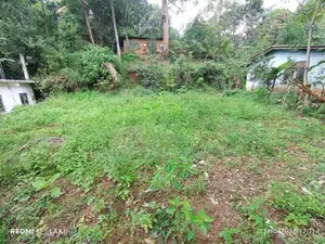 Land For Sale Nikawetawela In Welimada
