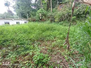 Land For Sale Nikawetawela In Welimada