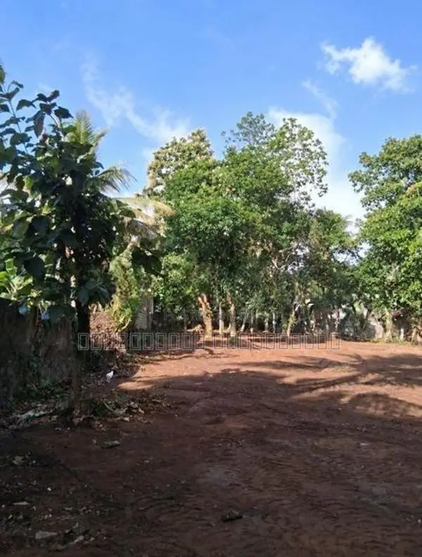 Land For Sale 𝗯𝗮𝗱𝘂𝗹𝗹𝗮 𝗺𝗮𝗵𝗶𝘆𝗮𝗴𝗮𝗻𝗮𝘆𝗮 In Mahiyanganaya