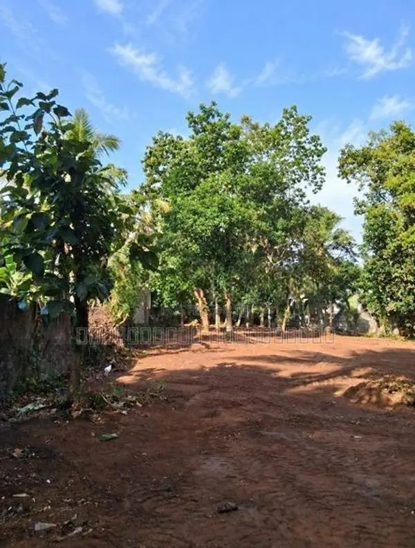 Land For Sale 𝗯𝗮𝗱𝘂𝗹𝗹𝗮 𝗺𝗮𝗵𝗶𝘆𝗮𝗴𝗮𝗻𝗮𝘆𝗮 In Mahiyanganaya