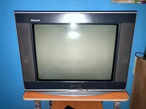Singer TV
