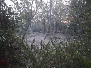 Land For Sale Buttala