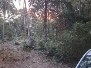 Land For Sale Buttala