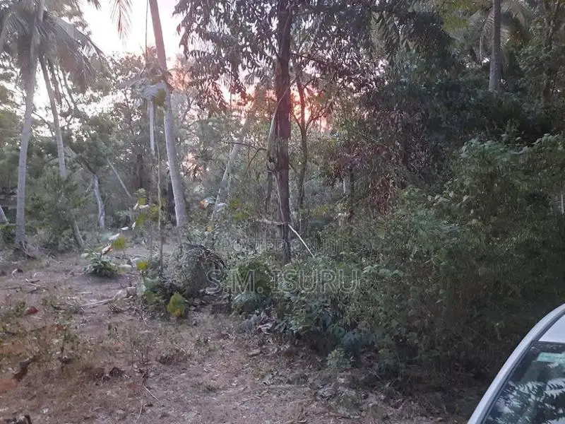 Land For Sale Buttala
