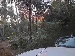 Land For Sale Buttala