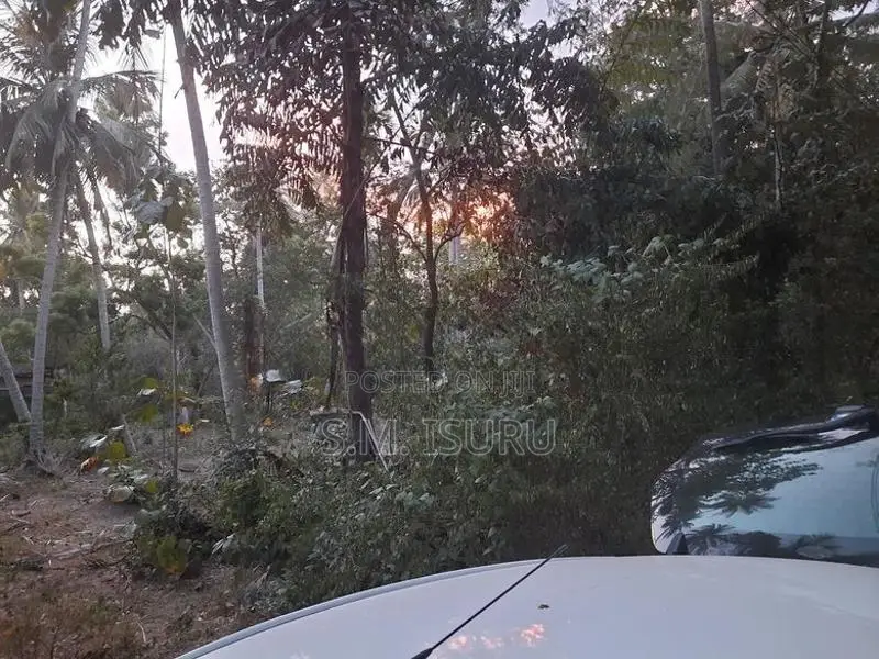 Land For Sale Buttala