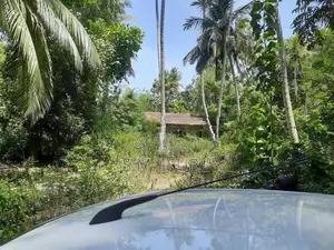 Land For Sale Buttala