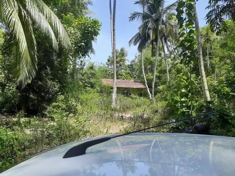 Land For Sale Buttala