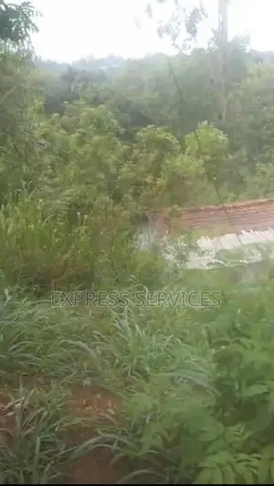 Land and House for Sale Bandarawela