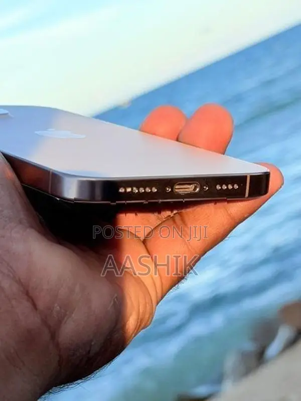 Apple iPhone 16 Pro Max Desert Titanium (Used)