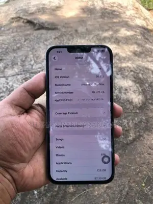 Apple iPhone 13 Pro Max (Used)