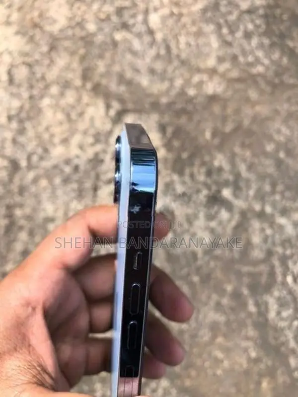 Apple iPhone 13 Pro Max (Used)