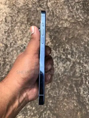 Apple iPhone 13 Pro Max (Used)