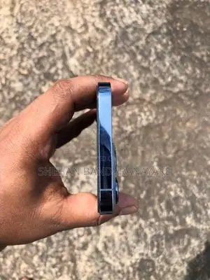 Apple iPhone 13 Pro Max (Used)