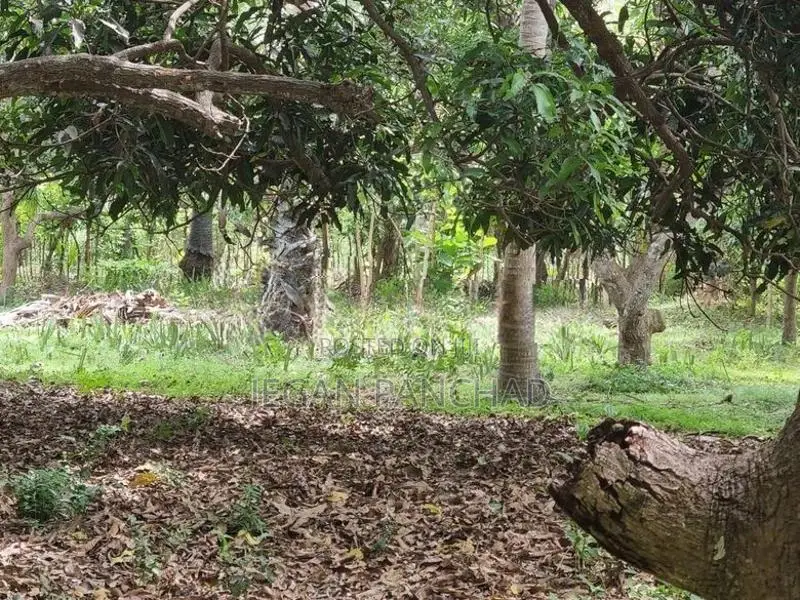 Land For Sale In Chavakachcheri