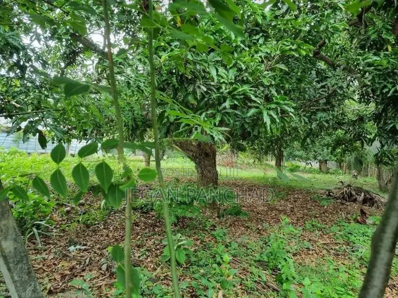 Land For Sale In Chavakachcheri