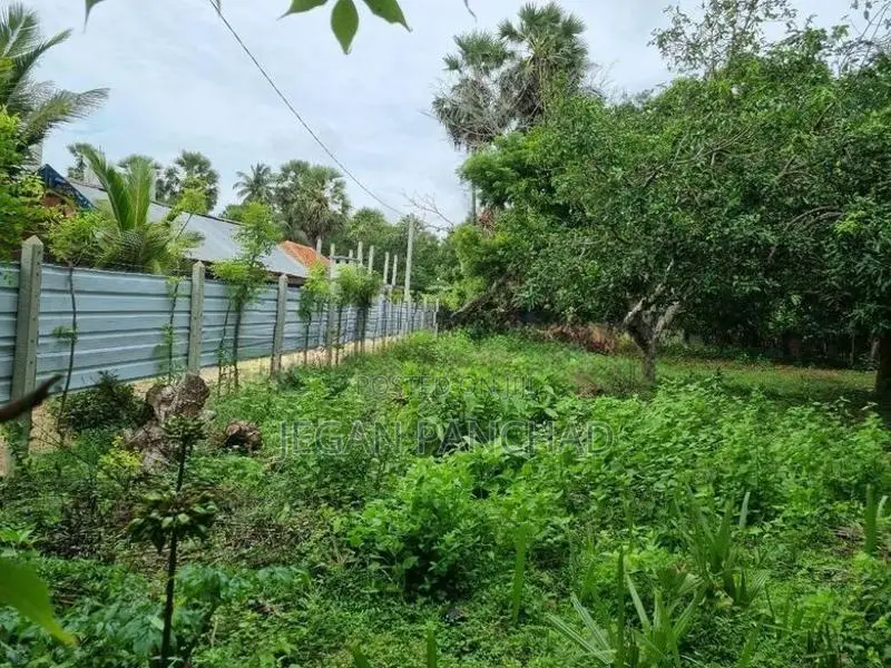 Land For Sale In Chavakachcheri
