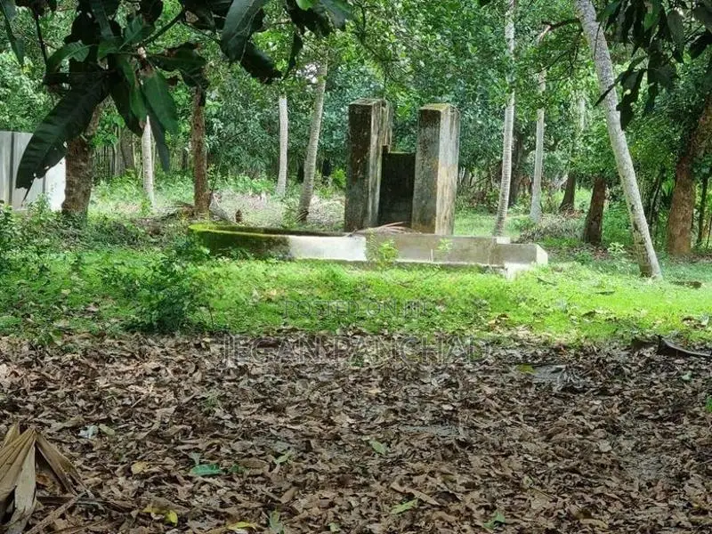 Land For Sale In Chavakachcheri