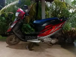 TVS Streak 2010