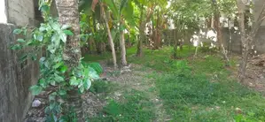 Land For Sale In Wattala