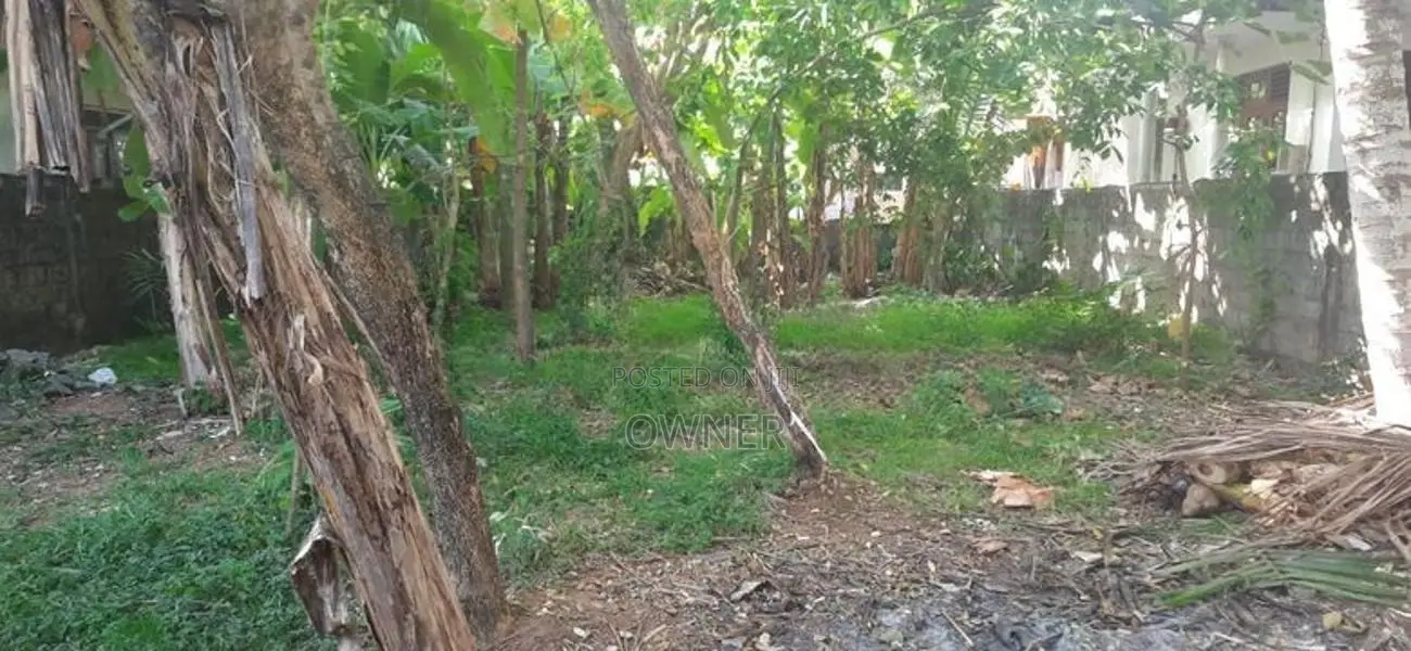 Land For Sale In Wattala