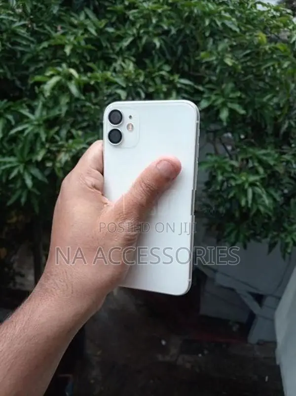Apple iPhone 11 (Used)