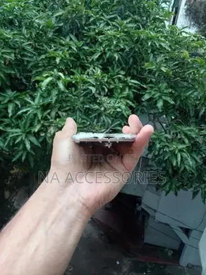 Apple iPhone 11 (Used)