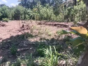 Land For Sale Wariyapola