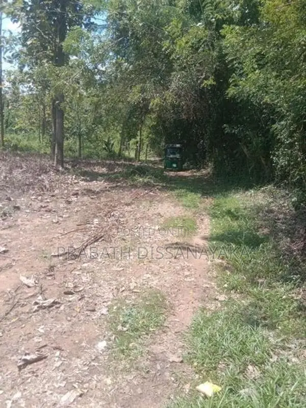 Land For Sale Wariyapola