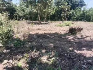 Land For Sale Wariyapola