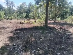 Land For Sale Wariyapola