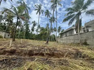 Land for Sale Pellandeniya
