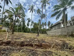 Land for Sale Pellandeniya